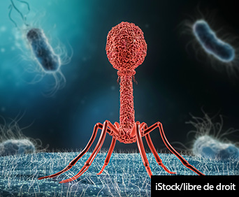 Phage infecting bacterium close-up 3D rendering illustration.