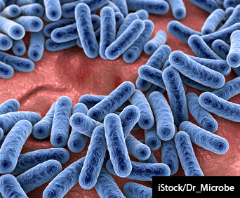 Bacteria, human microbiome, normal microflora of human body, 3D illustration.