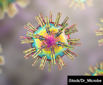 Herpes simplex virus 1 and 2, a DNA virus of the human Herpesviridae family, 3D illustration.