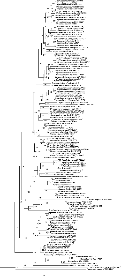 Division of the genus Chryseobacterium: Observation of 