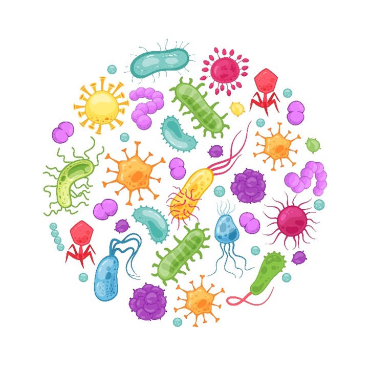 Microbial Primers