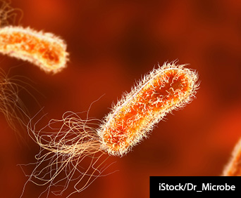 3D illustration of Psedonomas bacteria
