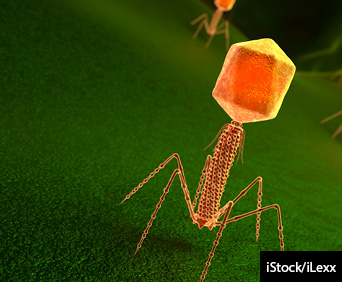 Bacteriophage virus particle on bacteria surface. 3D illustration.