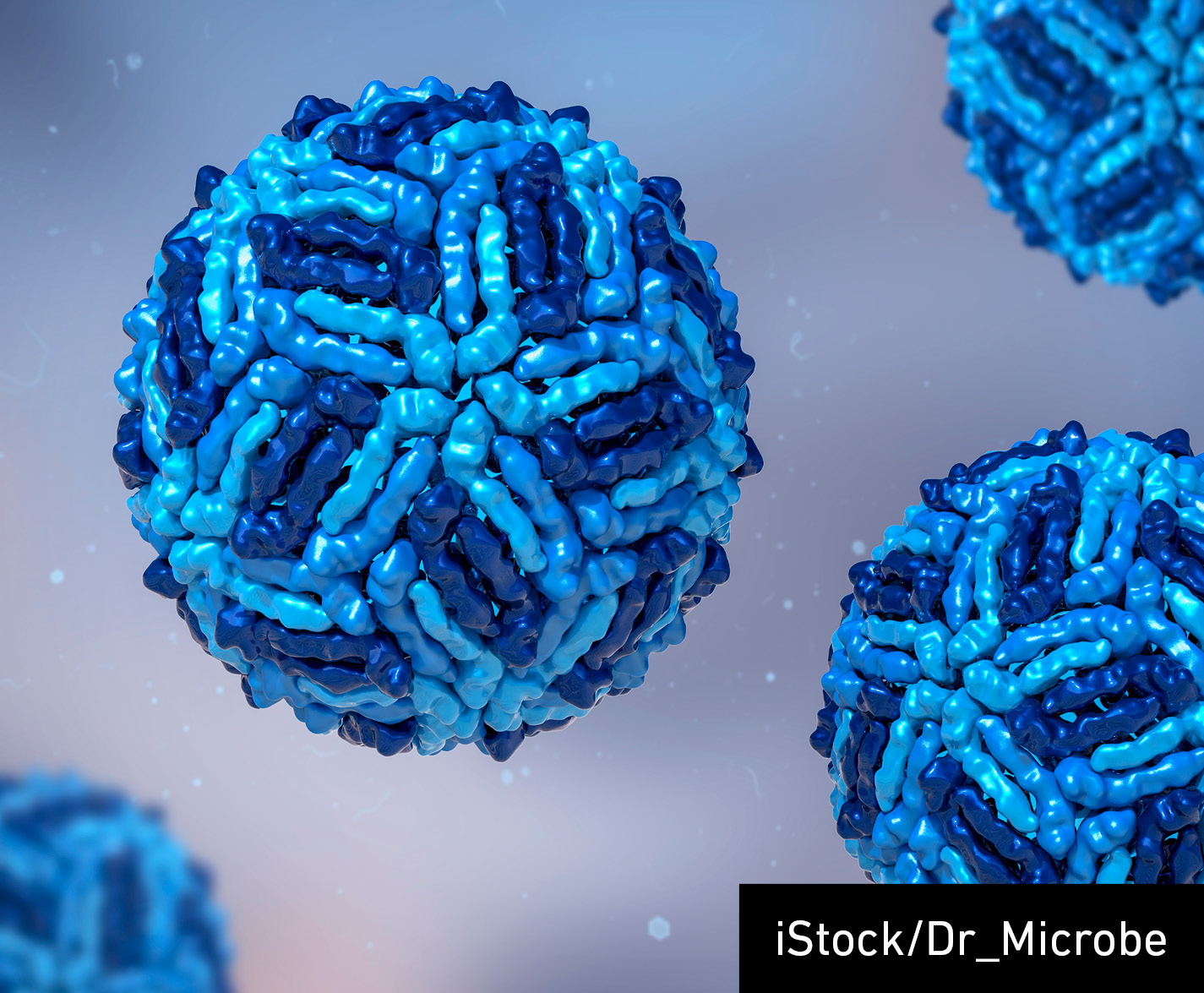 West Nile virus, WNV, 3D illustration. A virus that is transmitted by mosquito and causes West Nile fever