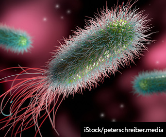 Detailed medical illustration of a three isolated bacteria in a red background.