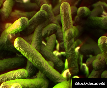 3D image of lysteria bacteria.