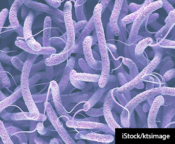 Vibrio cholerae, Gram-negative bacteria. 3D illustration of bacteria with flagell