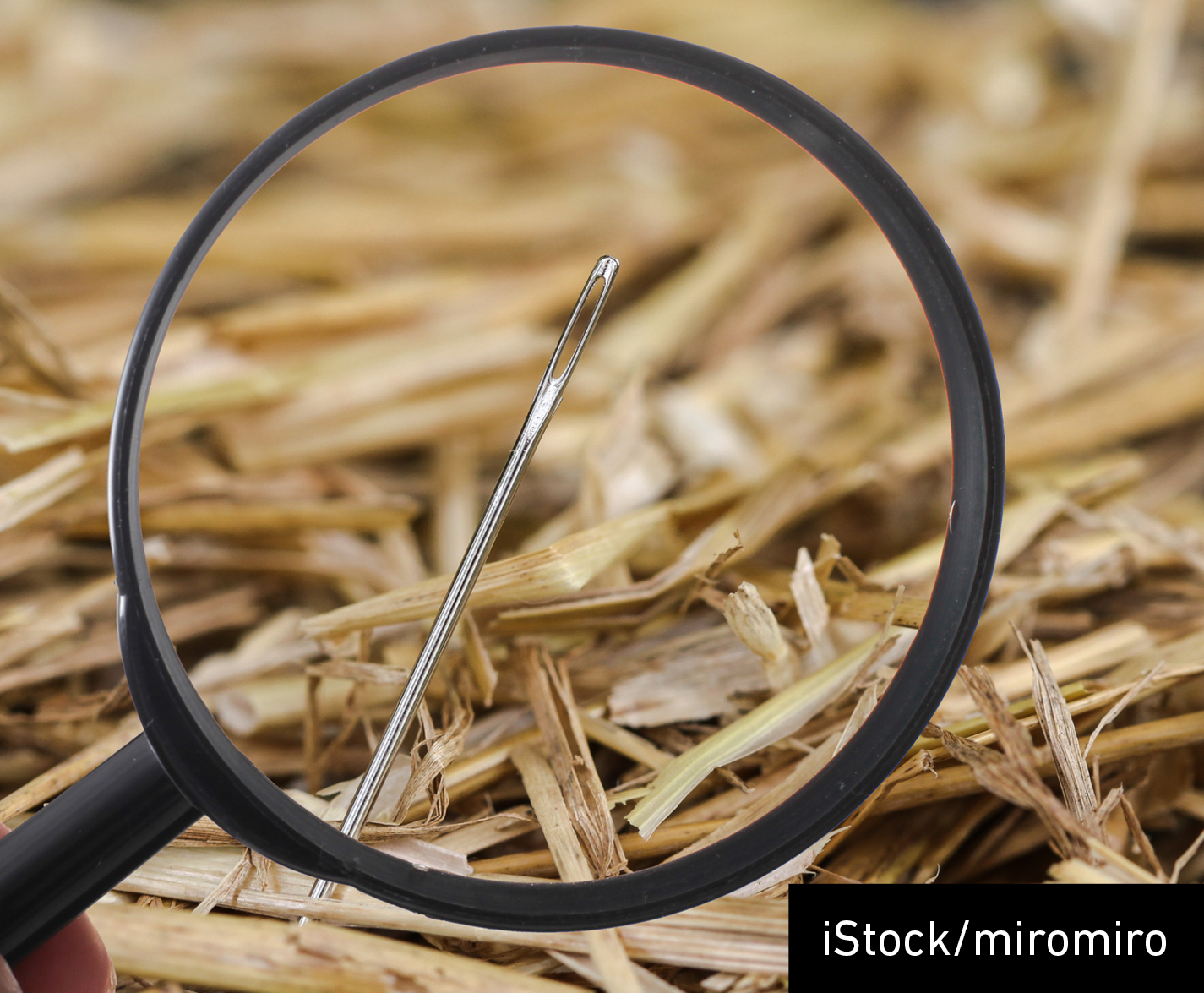 Looking through a magnifying glass at a needle on some hay